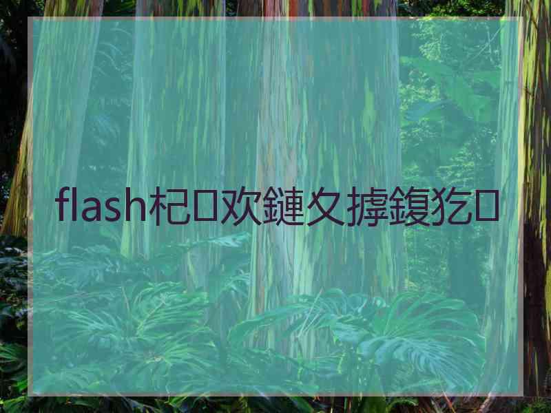 flash杞欢鏈夊摢鍑犵