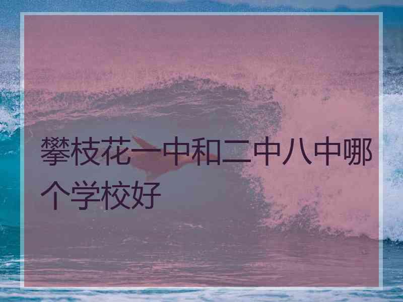 攀枝花一中和二中八中哪个学校好