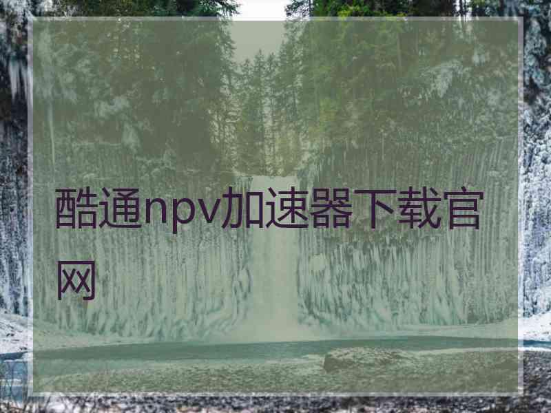 酷通npv加速器下载官网