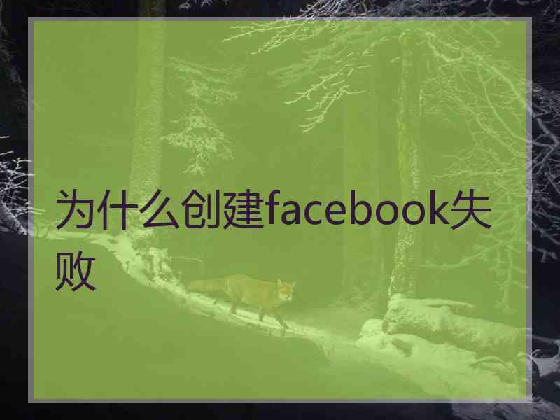 为什么创建facebook失败