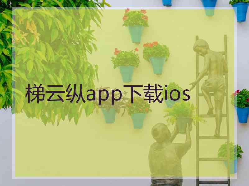 梯云纵app下载ios