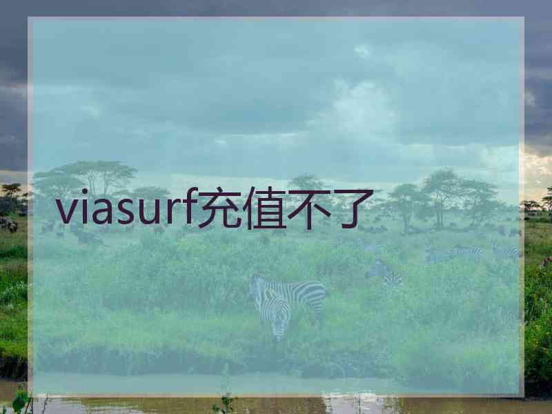 viasurf充值不了