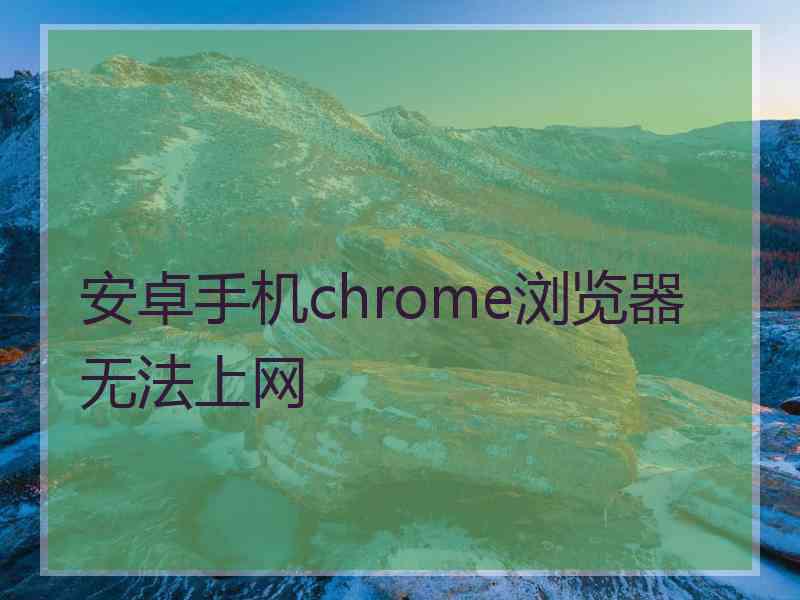 安卓手机chrome浏览器无法上网