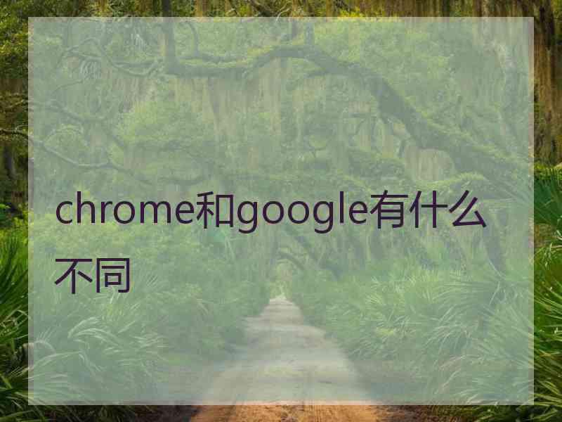 chrome和google有什么不同