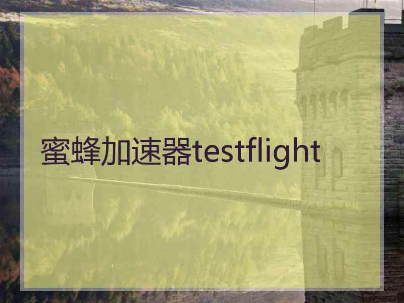 蜜蜂加速器testflight