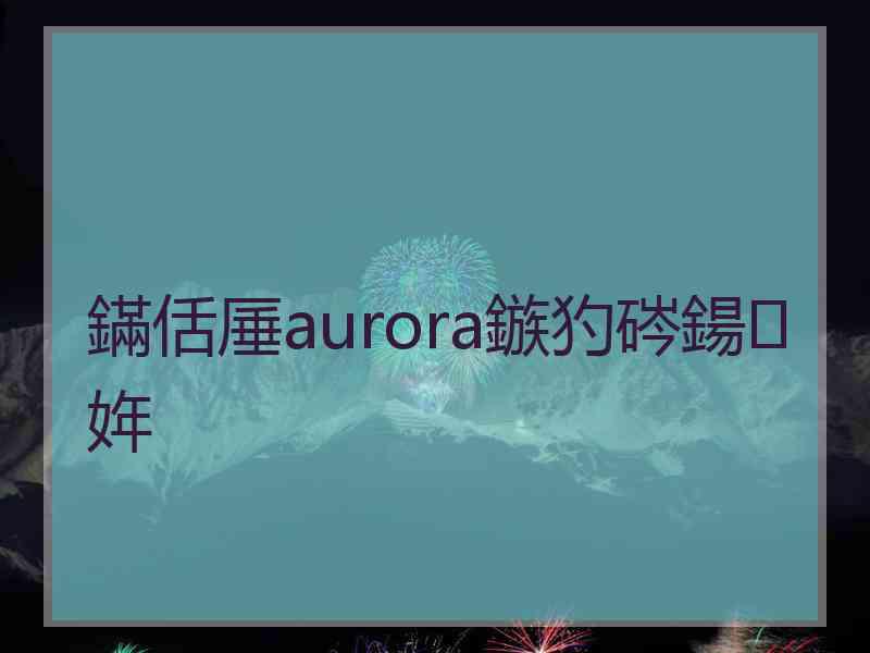 鏋佸厜aurora鏃犳硶鍚姩