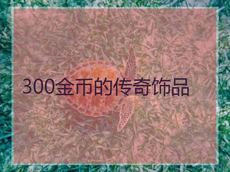 300金币的传奇饰品