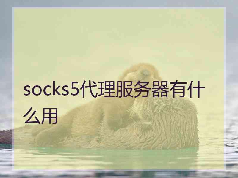 socks5代理服务器有什么用