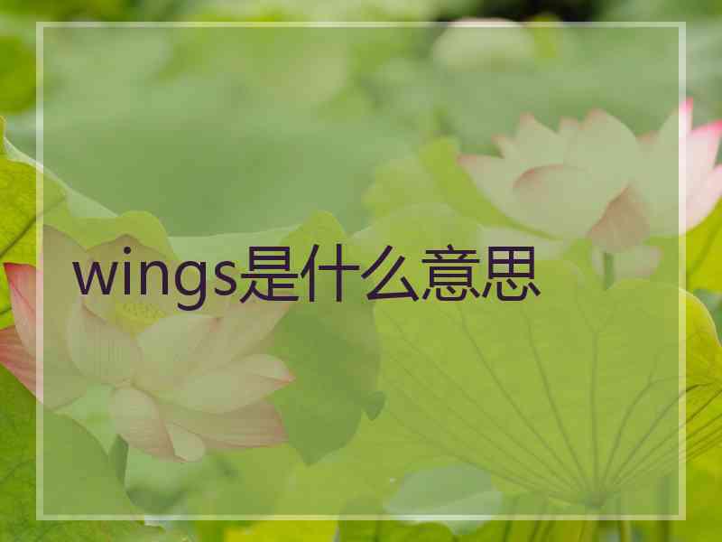 wings是什么意思