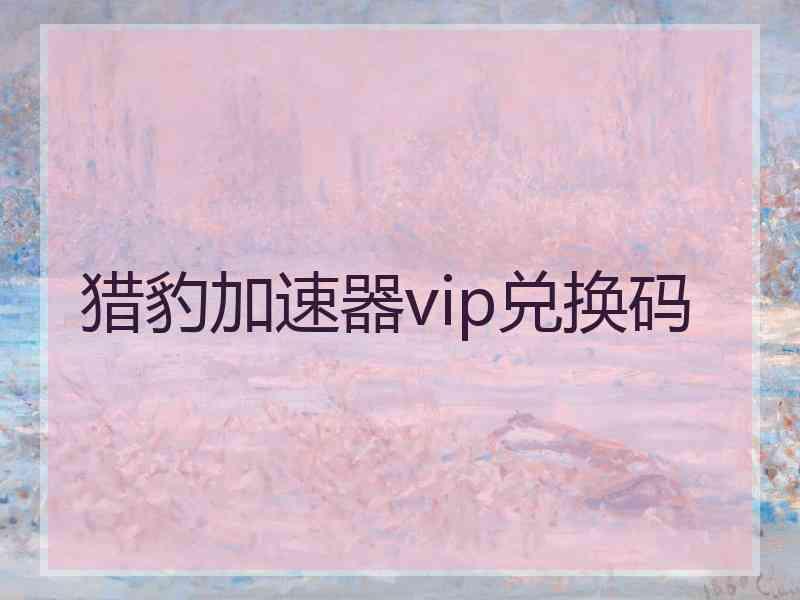 猎豹加速器vip兑换码