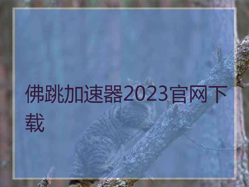 佛跳加速器2023官网下载