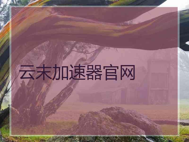 云末加速器官网