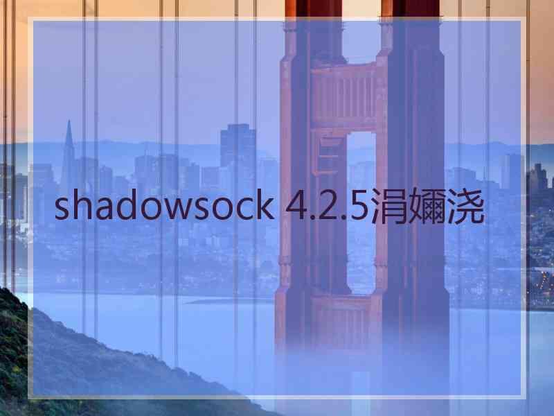 shadowsock 4.2.5涓嬭浇