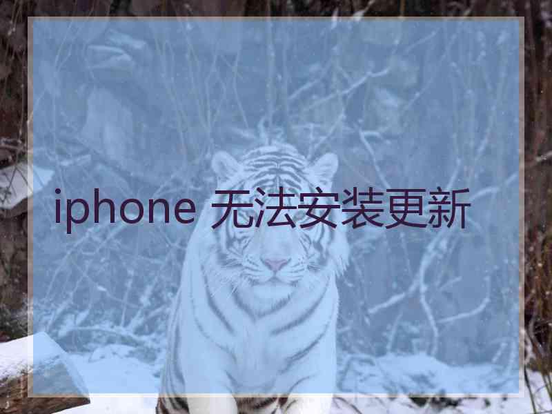 iphone 无法安装更新