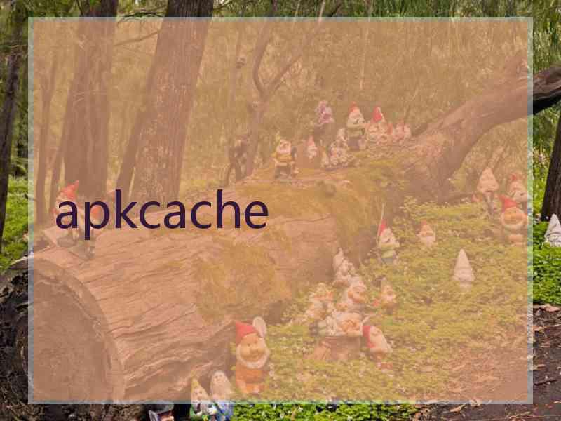 apkcache