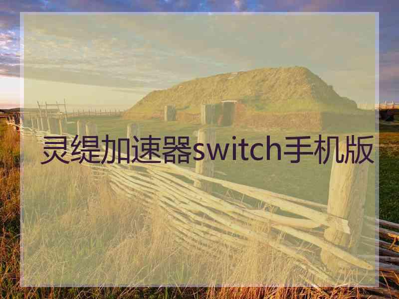 灵缇加速器switch手机版