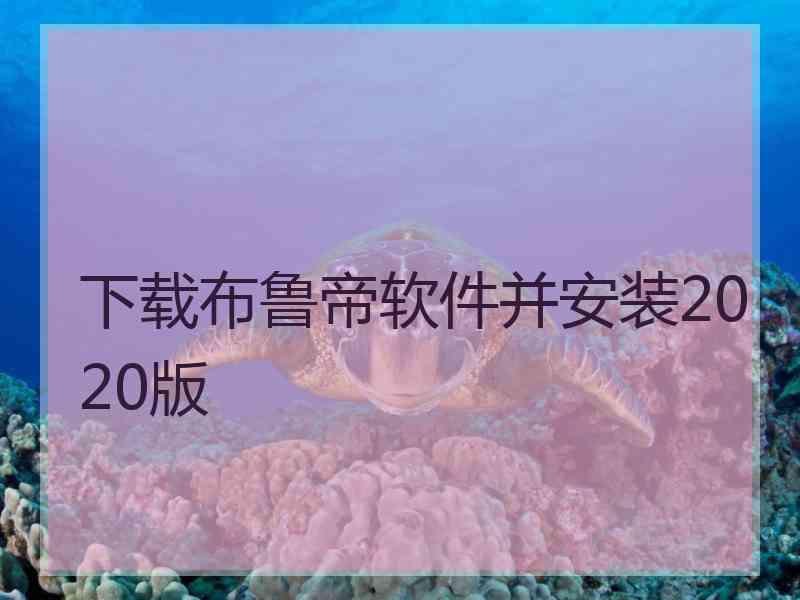 下载布鲁帝软件并安装2020版