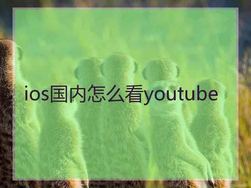 ios国内怎么看youtube