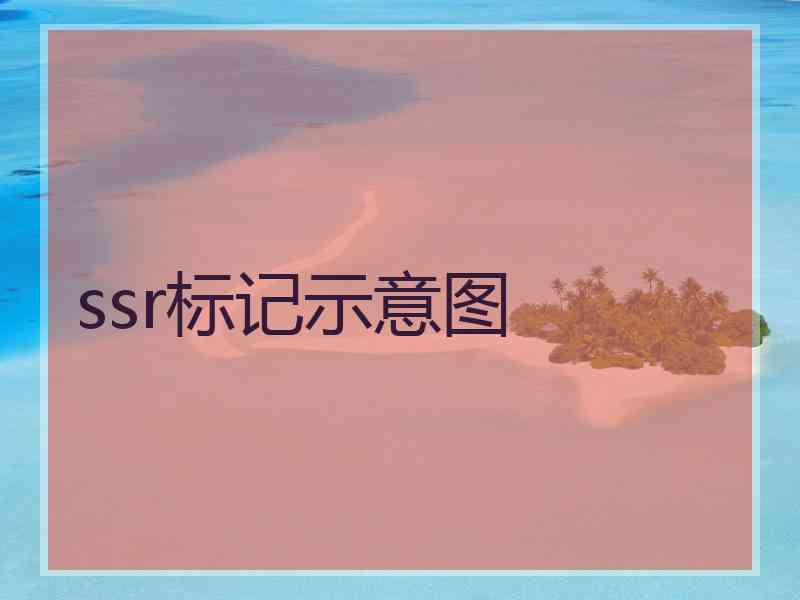 ssr标记示意图