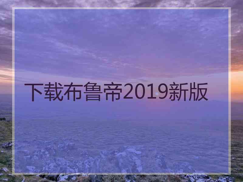 下载布鲁帝2019新版