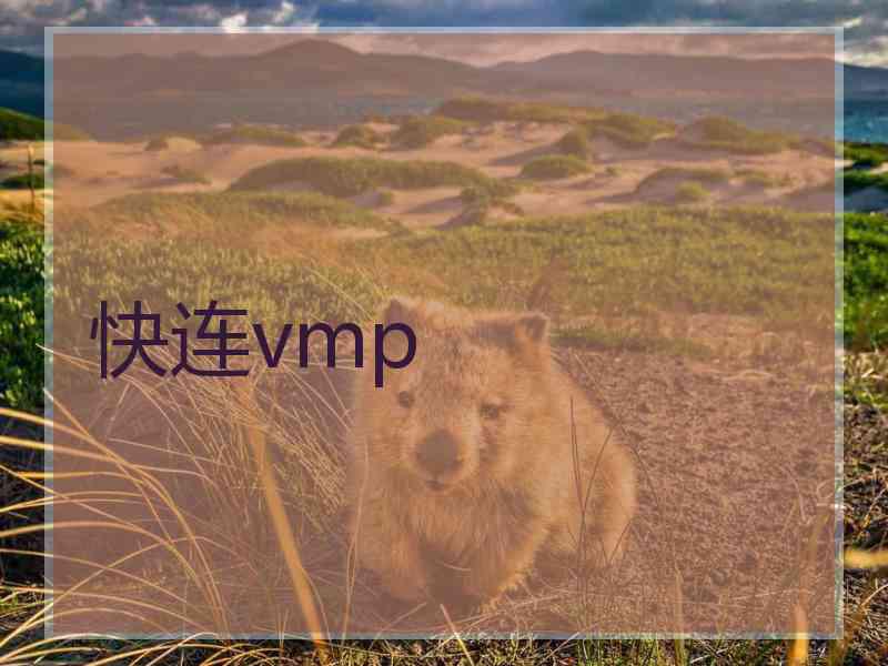 快连vmp