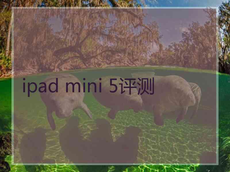 ipad mini 5评测