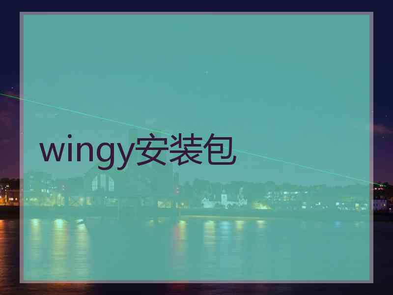 wingy安装包