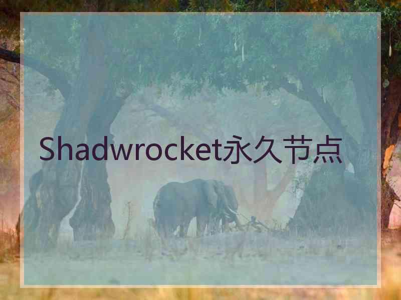 Shadwrocket永久节点