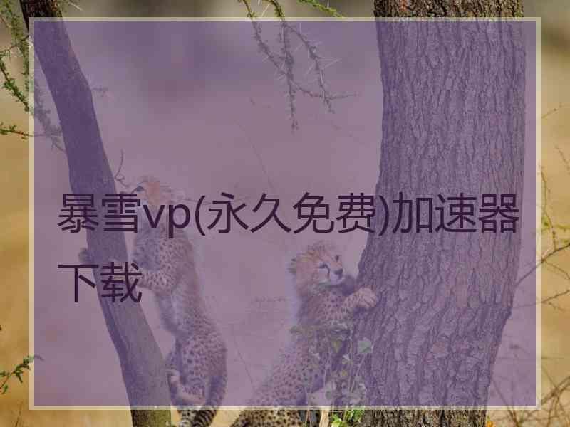 暴雪vp(永久免费)加速器下载