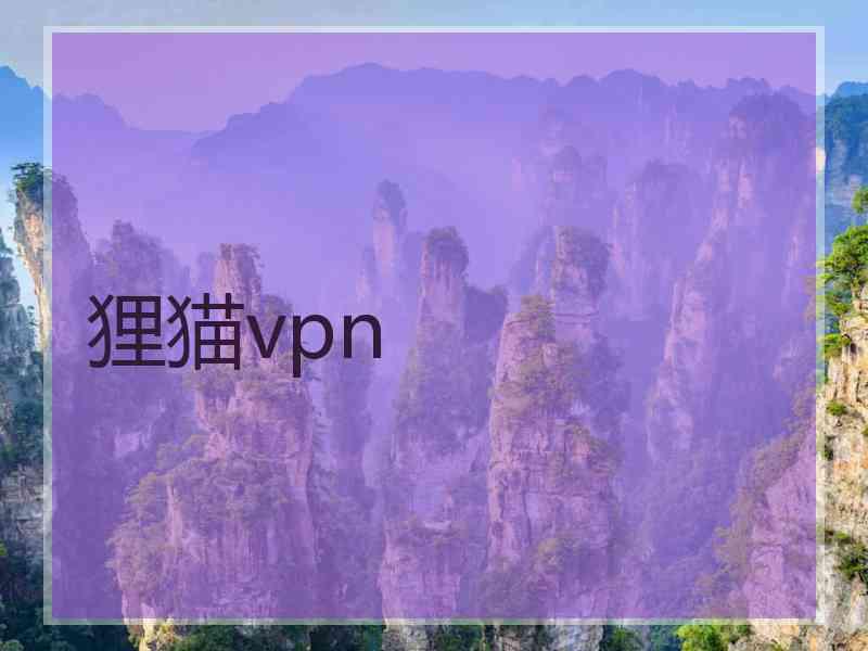 狸猫vpn