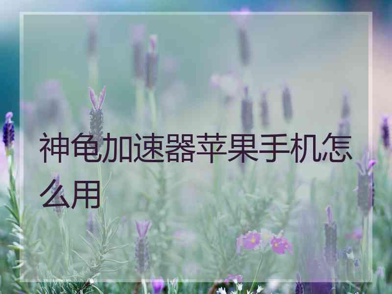 神龟加速器苹果手机怎么用