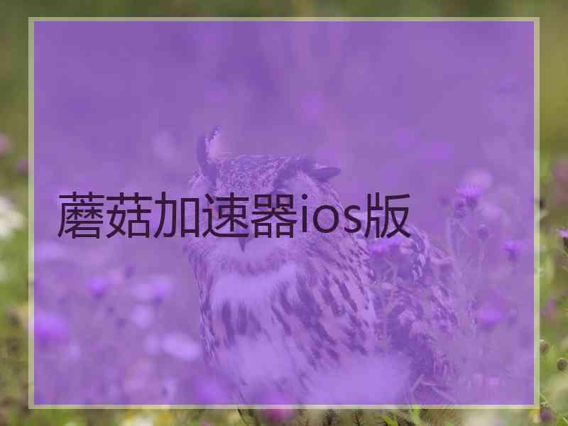 蘑菇加速器ios版