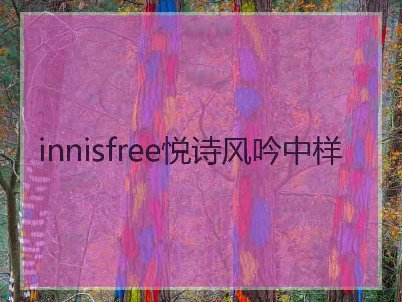 innisfree悦诗风吟中样