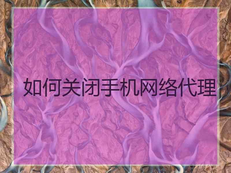 如何关闭手机网络代理