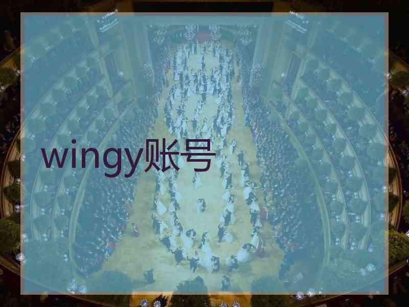 wingy账号