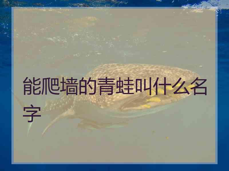 能爬墙的青蛙叫什么名字