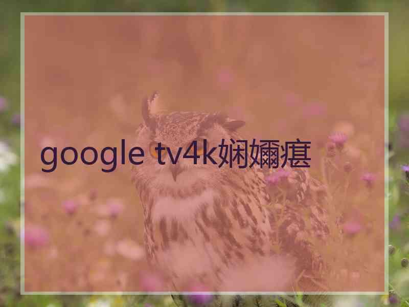 google tv4k娴嬭瘎