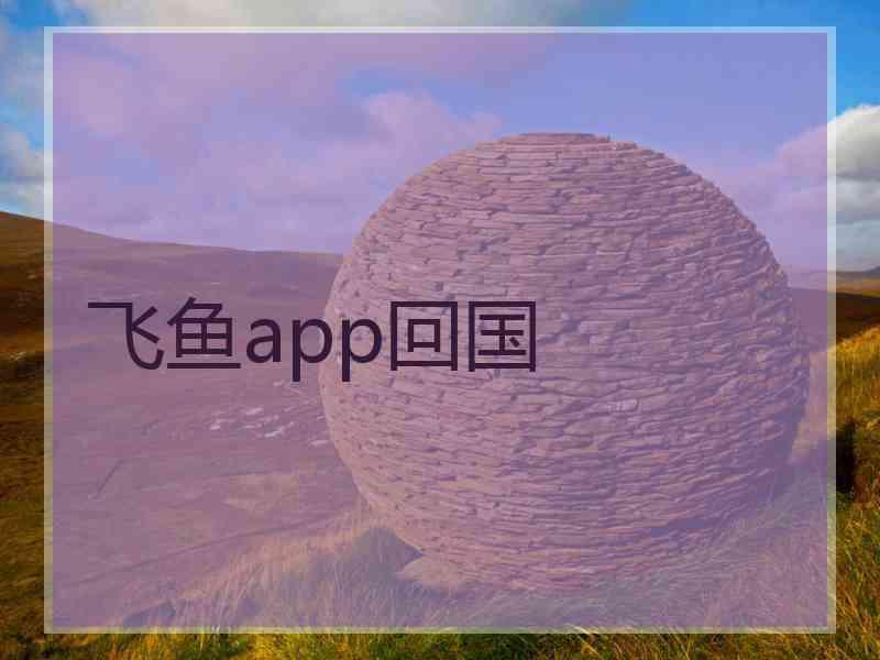 飞鱼app回国