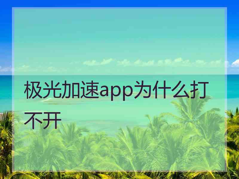 极光加速app为什么打不开