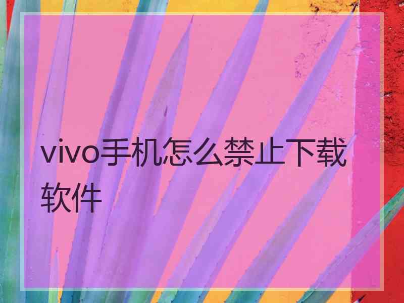 vivo手机怎么禁止下载软件