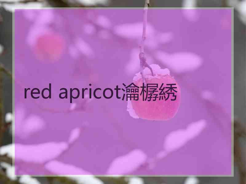 red apricot瀹樼綉