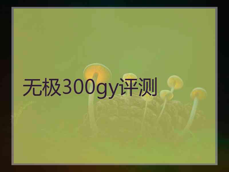 无极300gy评测