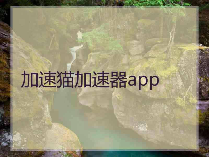 加速猫加速器app