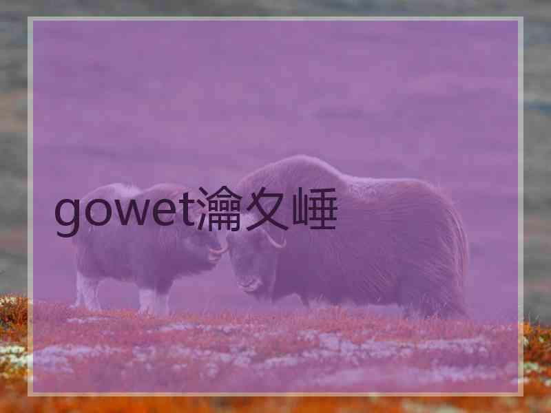 gowet瀹夊崜