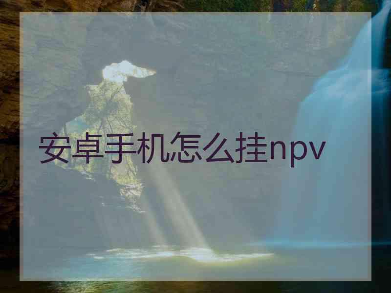 安卓手机怎么挂npv