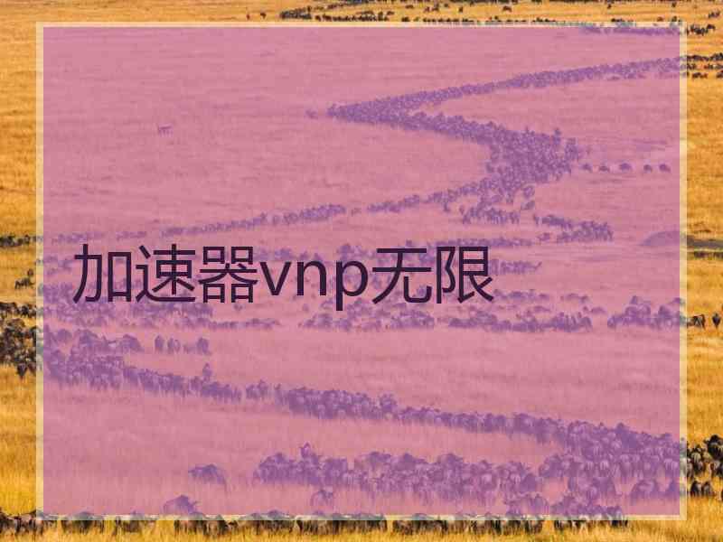 加速器vnp无限