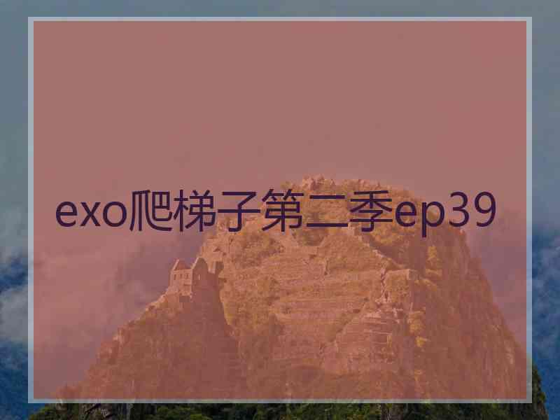 exo爬梯子第二季ep39