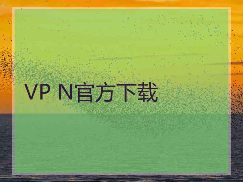 VP N官方下载