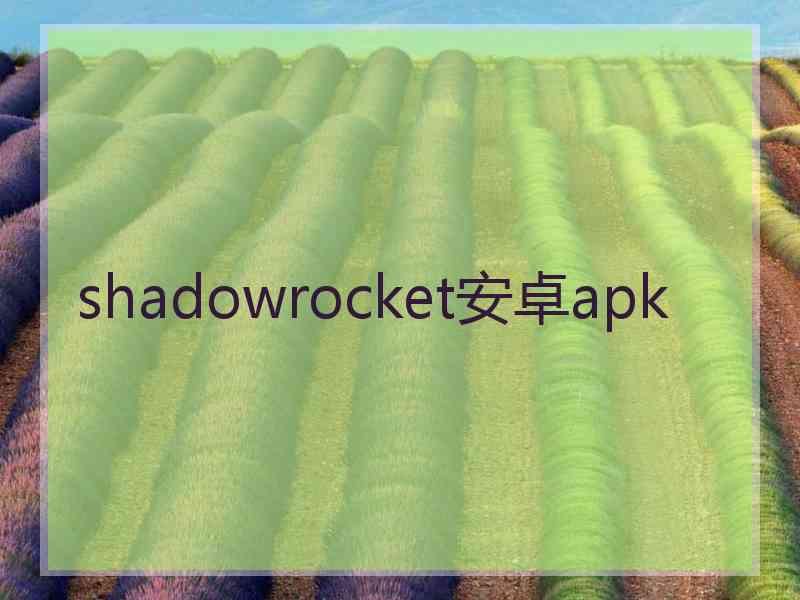 shadowrocket安卓apk