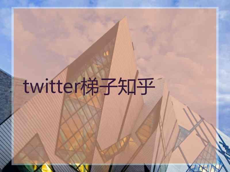 twitter梯子知乎